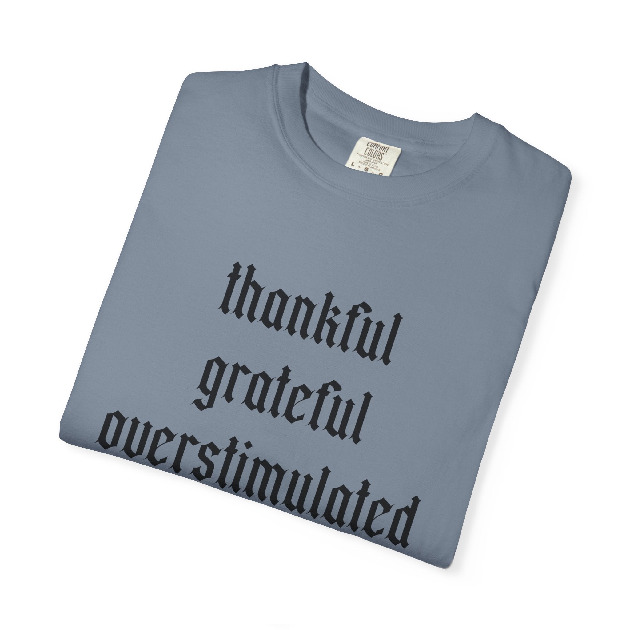 Thankful • Grateful • Overstimulated