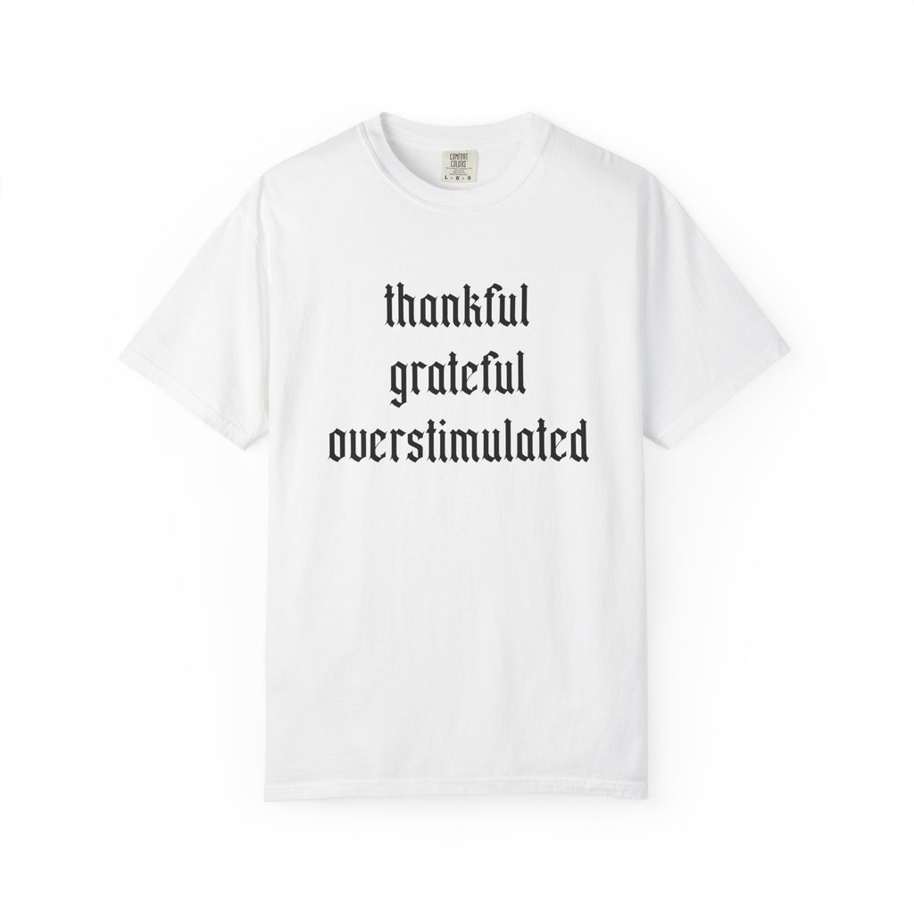 Thankful • Grateful • Overstimulated