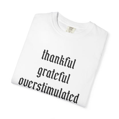 Thankful • Grateful • Overstimulated