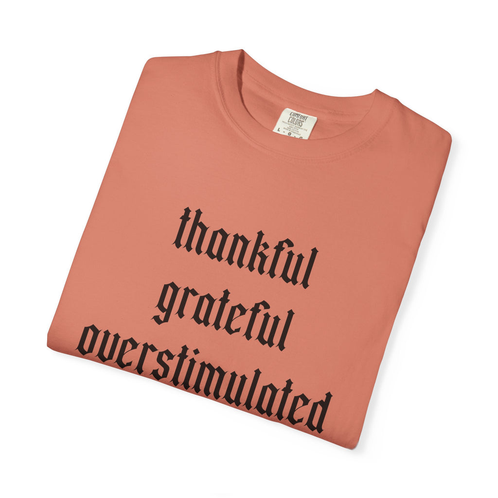 Thankful • Grateful • Overstimulated