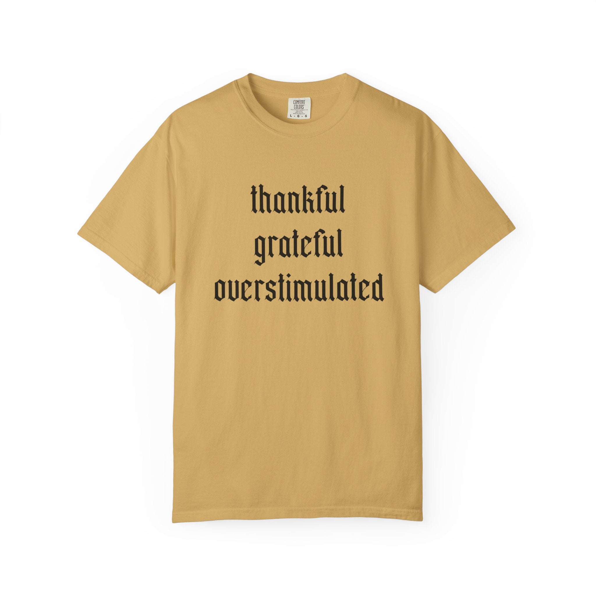 Thankful • Grateful • Overstimulated