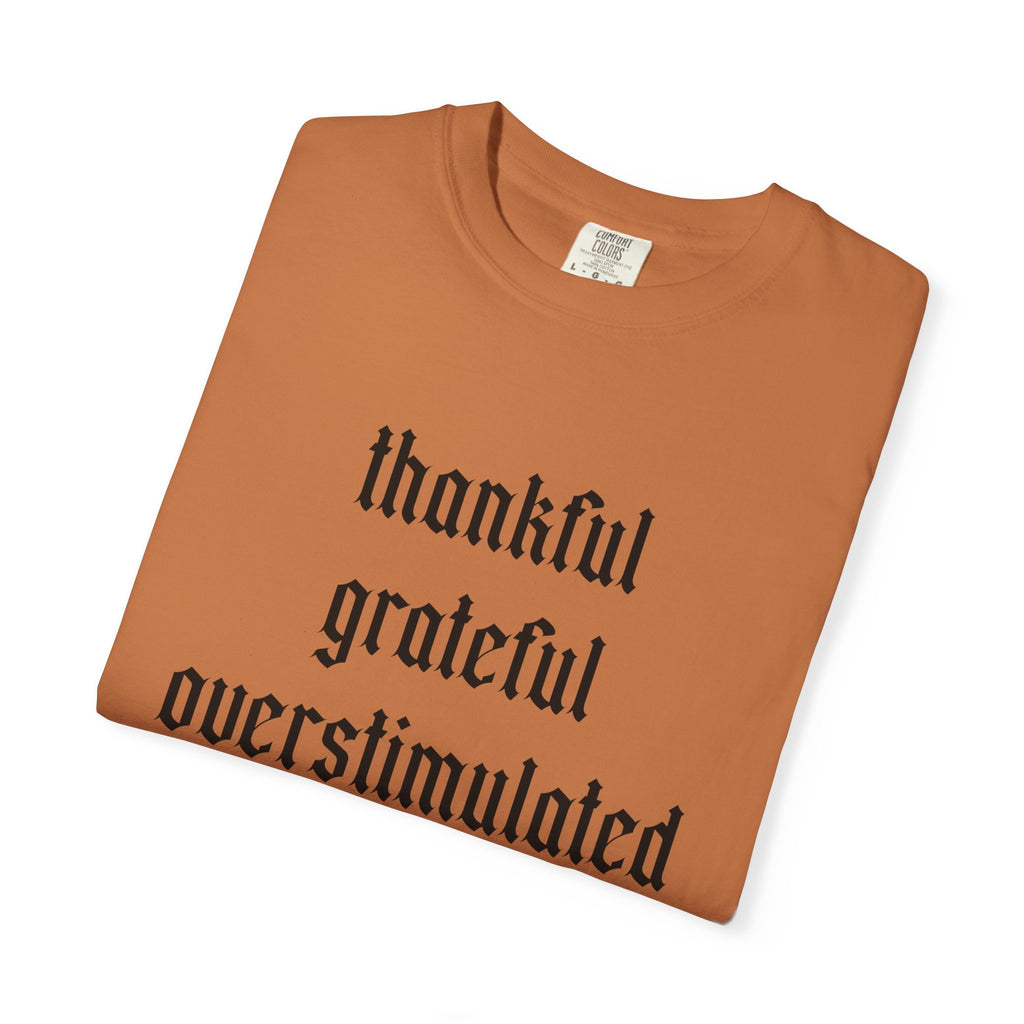Thankful • Grateful • Overstimulated
