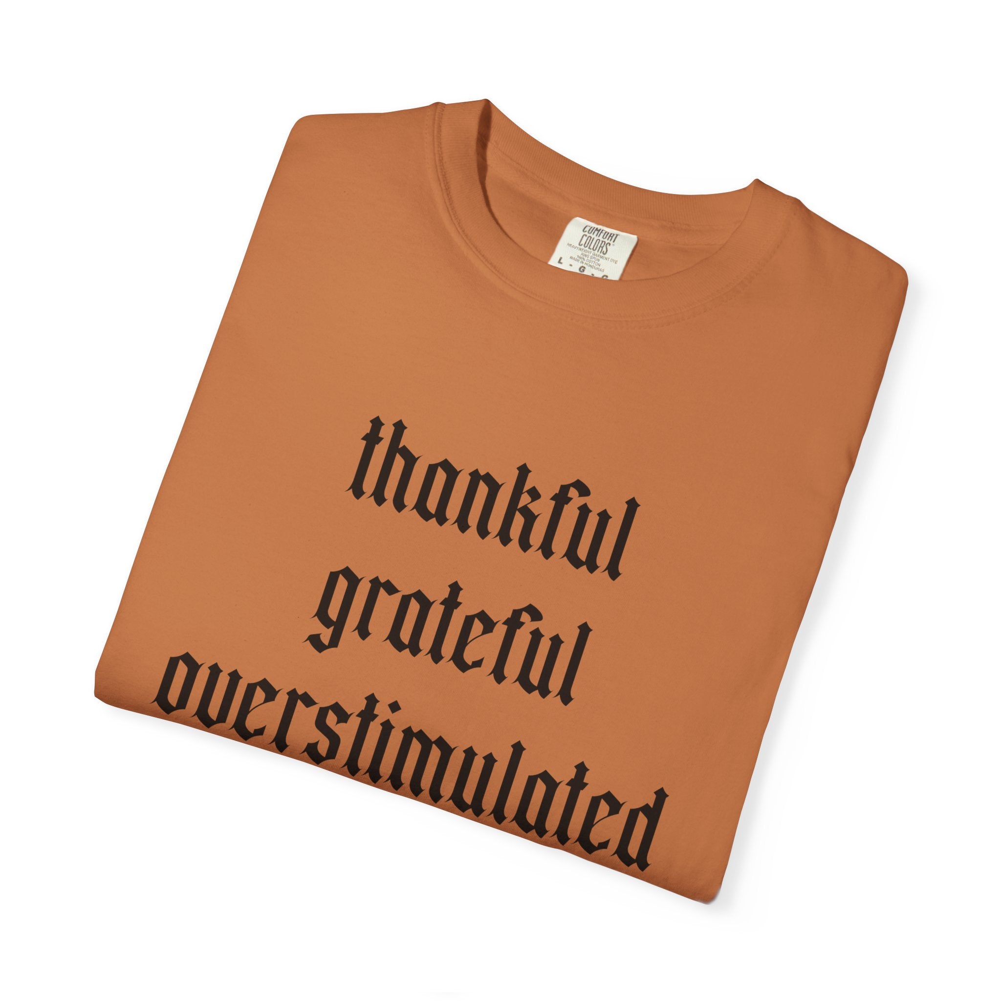 Thankful • Grateful • Overstimulated