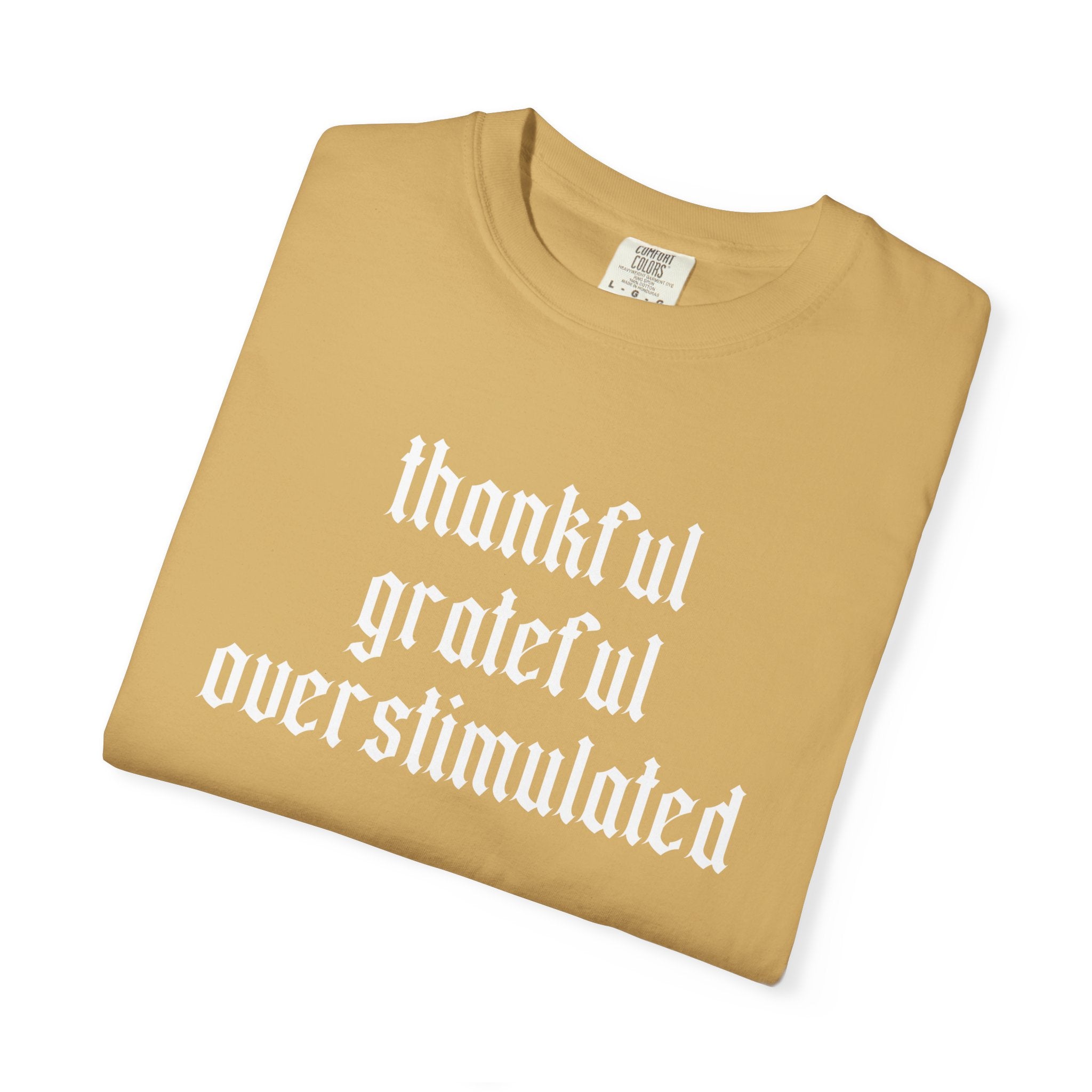 Thankful • Grateful • Overstimulated Tee