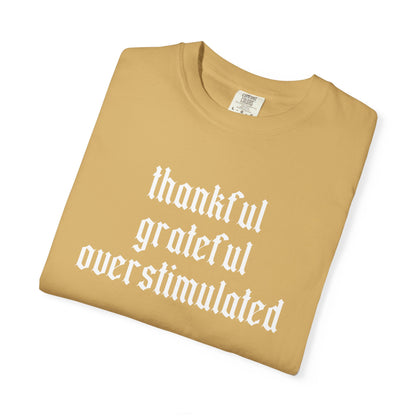 Thankful • Grateful • Overstimulated Tee
