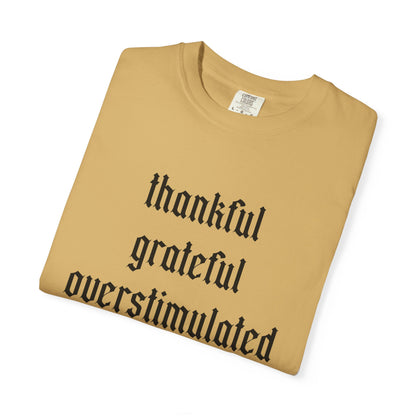 Thankful • Grateful • Overstimulated